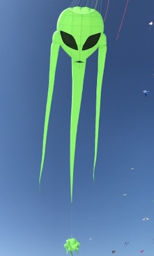 Kite