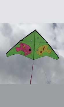 Kite