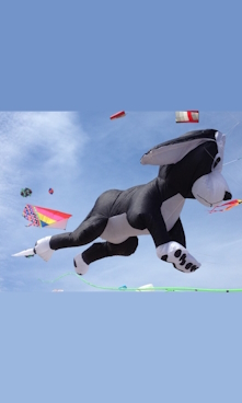 Kite