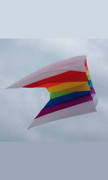 Kite