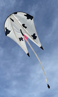Kite