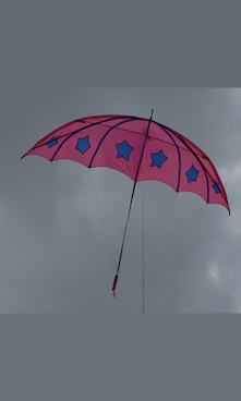 Kite