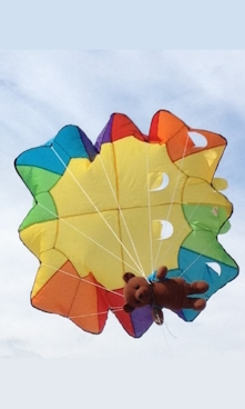 Kite