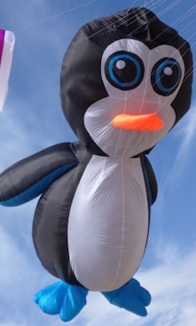 Kite