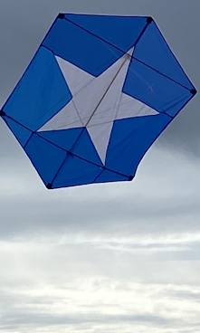 Kite